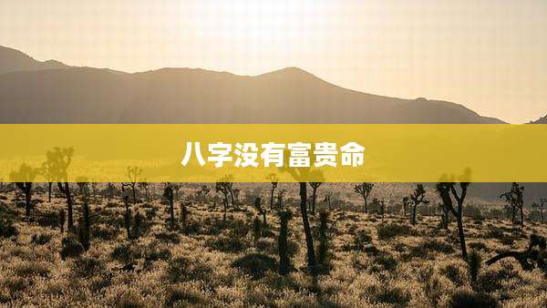 八字没有富贵命