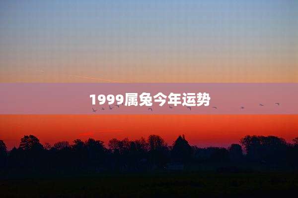 1999属兔今年运势