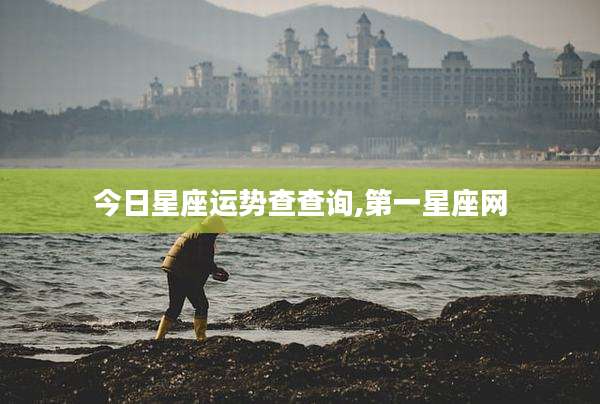 今日星座运势查查询,第一星座网