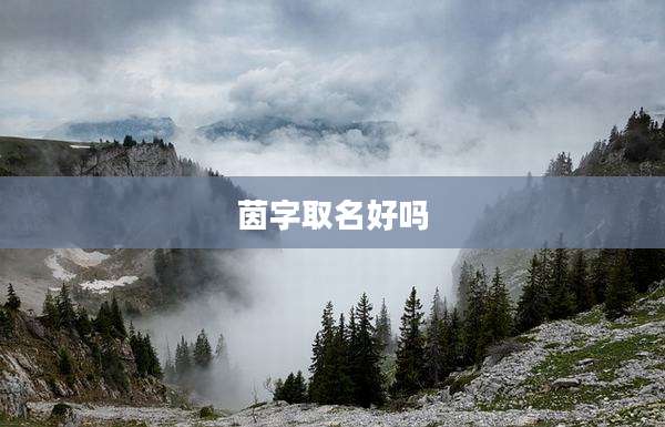 茵字取名好吗