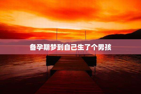 备孕期梦到自己生了个男孩