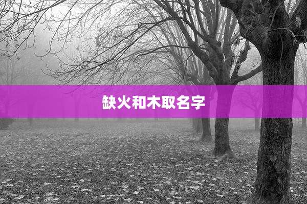 缺火和木取名字