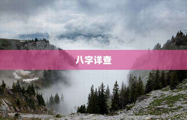 八字详查