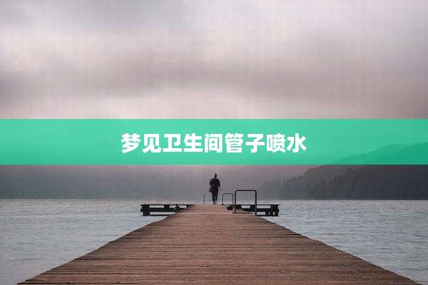 梦见卫生间管子喷水