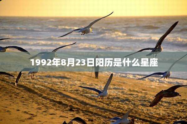 1992年8月23日阳历是什么星座