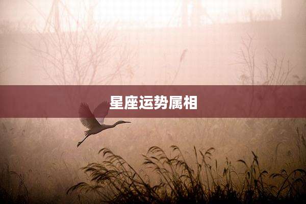 星座运势属相