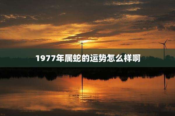 1977年属蛇的运势怎么样啊