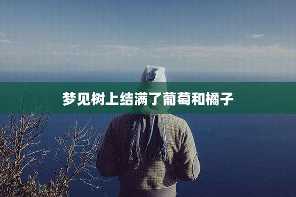 梦见树上结满了葡萄和橘子
