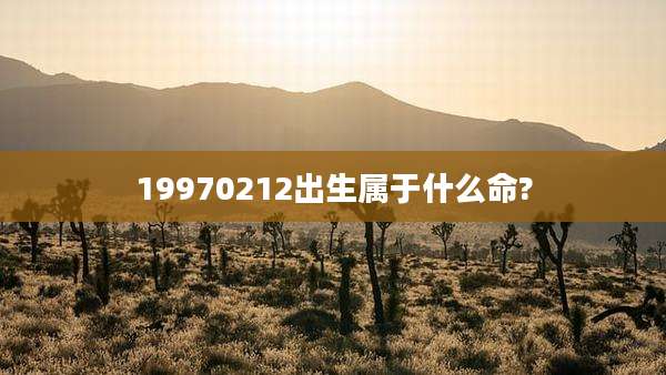 19970212出生属于什么命?