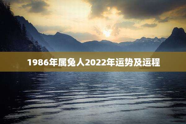 1986年属兔人2022年运势及运程