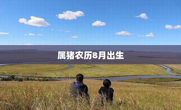 属猪农历8月出生