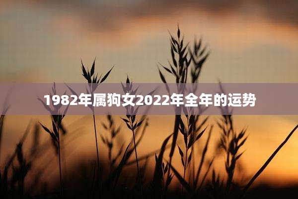 1982年属狗女2022年全年的运势