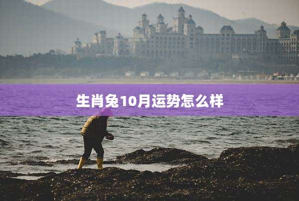 生肖兔10月运势怎么样