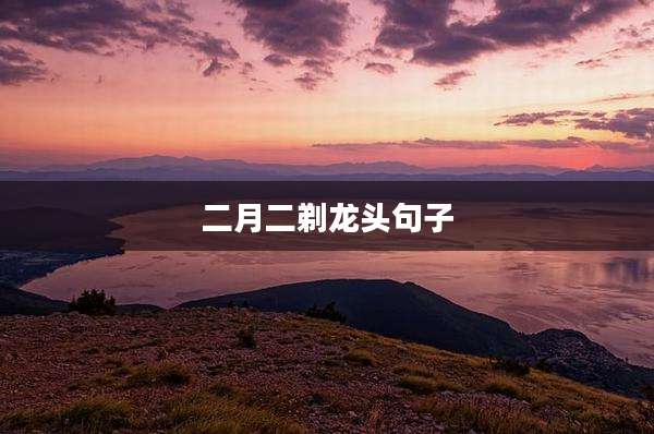 二月二剃龙头句子
