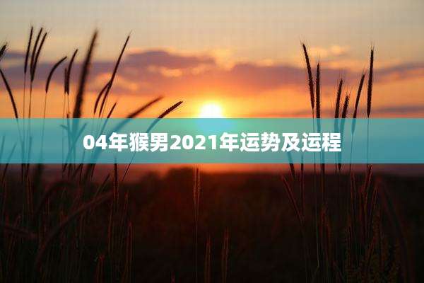 04年猴男2021年运势及运程