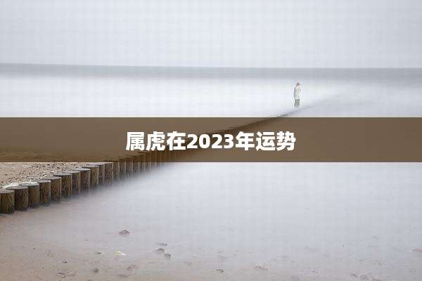 属虎在2023年运势
