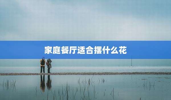 家庭餐厅适合摆什么花