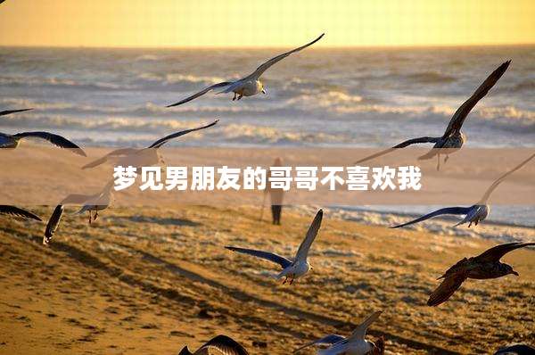 梦见男朋友的哥哥不喜欢我