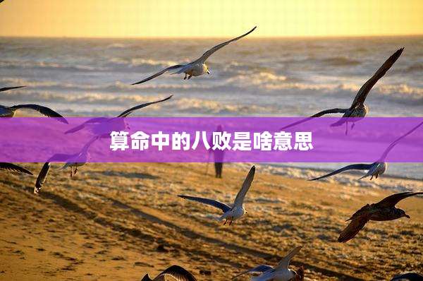 算命中的八败是啥意思