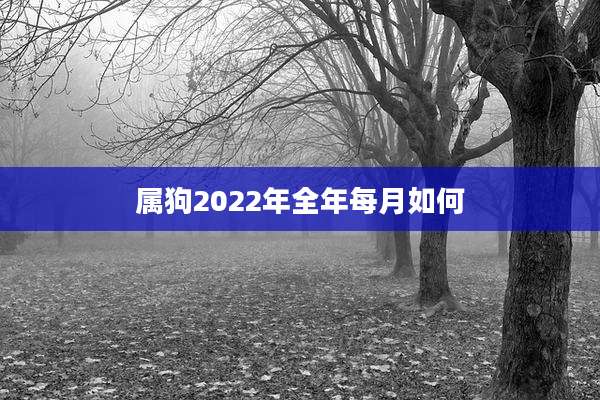 属狗2022年全年每月如何