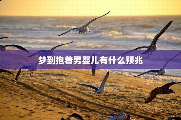 梦到抱着男婴儿有什么预兆