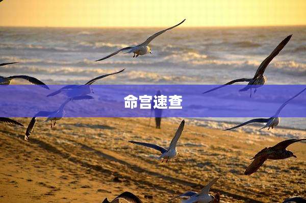 命宫速查