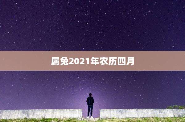 属兔2021年农历四月