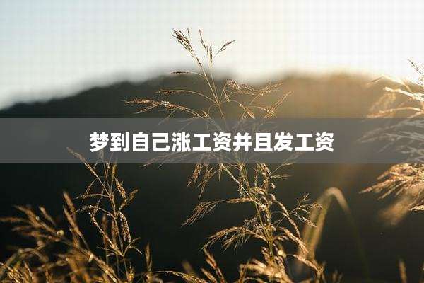 梦到自己涨工资并且发工资