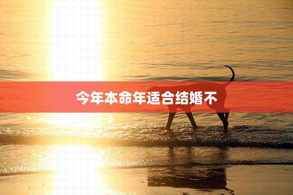 今年本命年适合结婚不