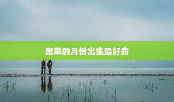 属羊的月份出生最好命