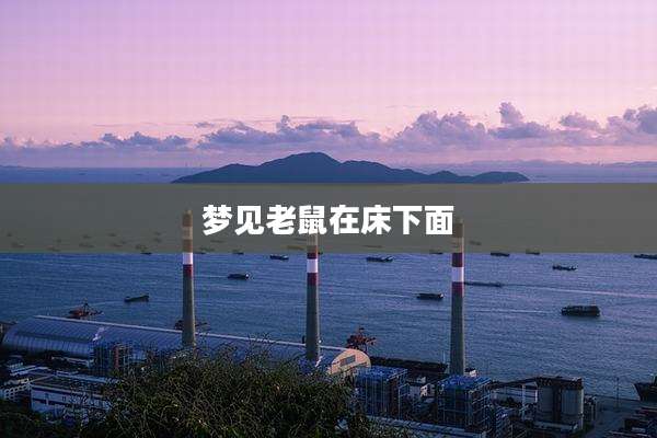 梦见老鼠在床下面