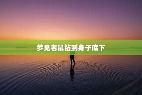 梦见老鼠钻到身子底下
