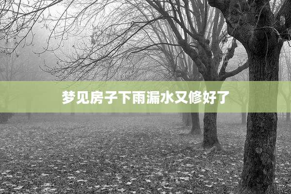 梦见房子下雨漏水又修好了