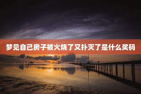 梦见自己房子被火烧了又扑灭了是什么奖码