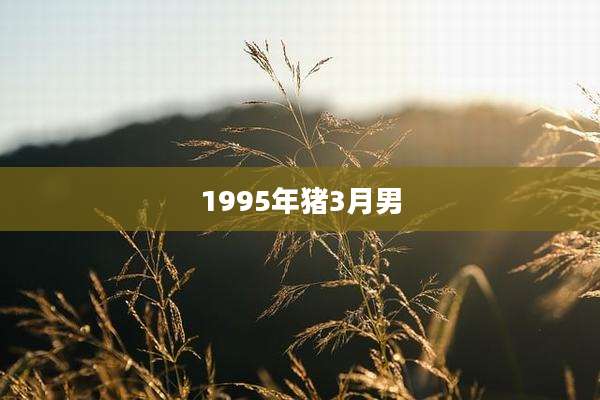 1995年猪3月男