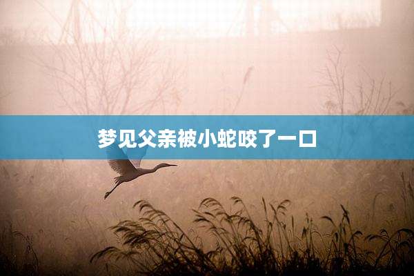 梦见父亲被小蛇咬了一口