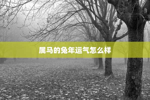 属马的兔年运气怎么样