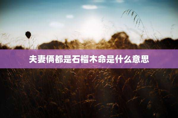 夫妻俩都是石榴木命是什么意思
