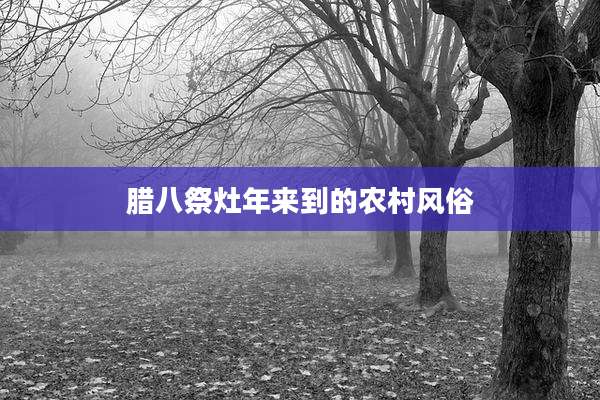 腊八祭灶年来到的农村风俗
