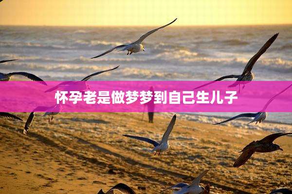 怀孕老是做梦梦到自己生儿子