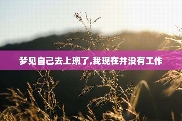 梦见自己去上班了,我现在并没有工作