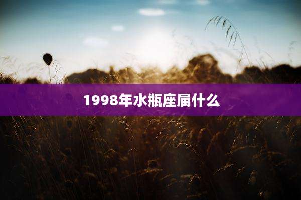 1998年水瓶座属什么