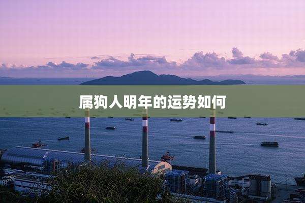 属狗人明年的运势如何