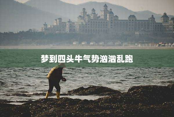 梦到四头牛气势汹汹乱跑