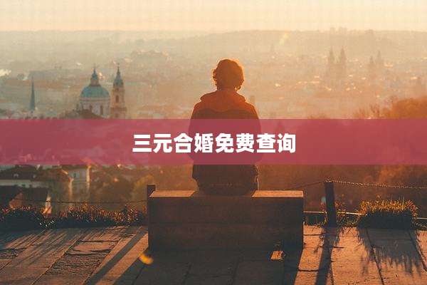 三元合婚免费查询