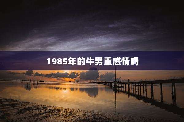 1985年的牛男重感情吗