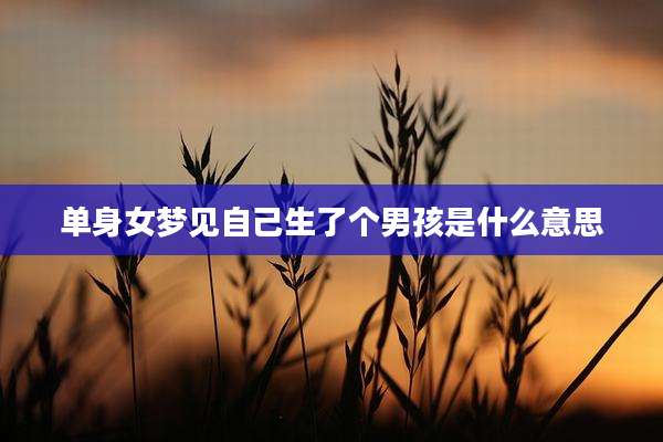 单身女梦见自己生了个男孩是什么意思