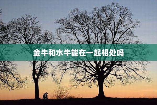 金牛和水牛能在一起相处吗
