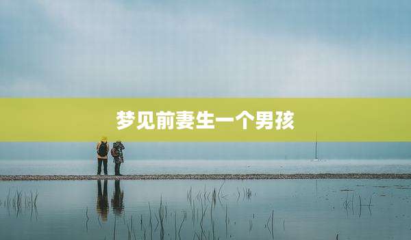 梦见前妻生一个男孩