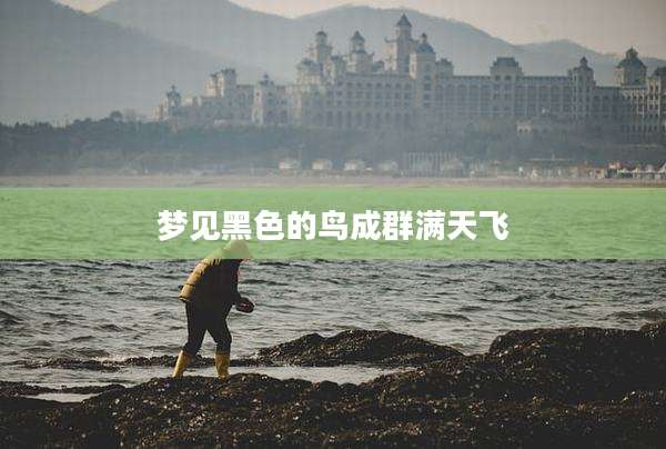 梦见黑色的鸟成群满天飞